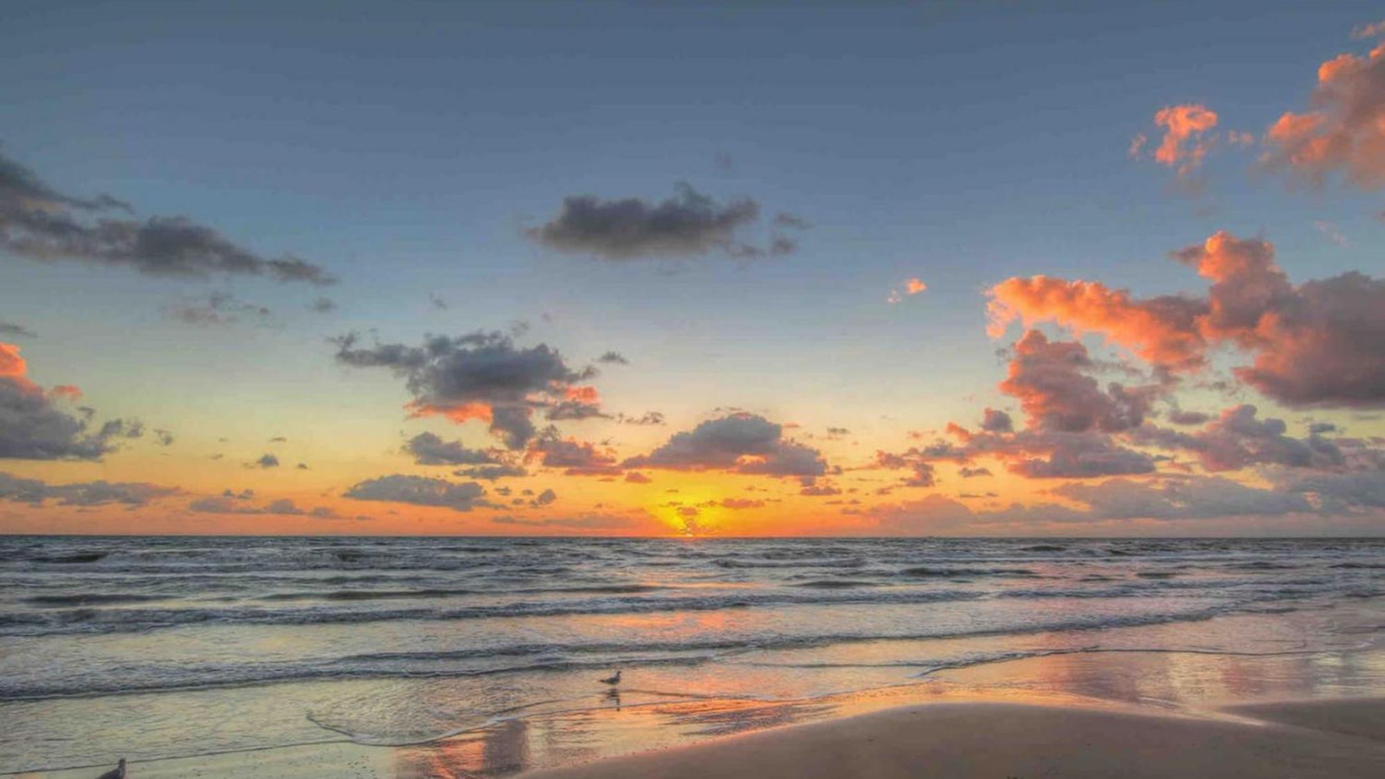 Sleeps 4, Value Retreat - Free Garage Pet Friendly Daire Corpus Christi Dış mekan fotoğraf